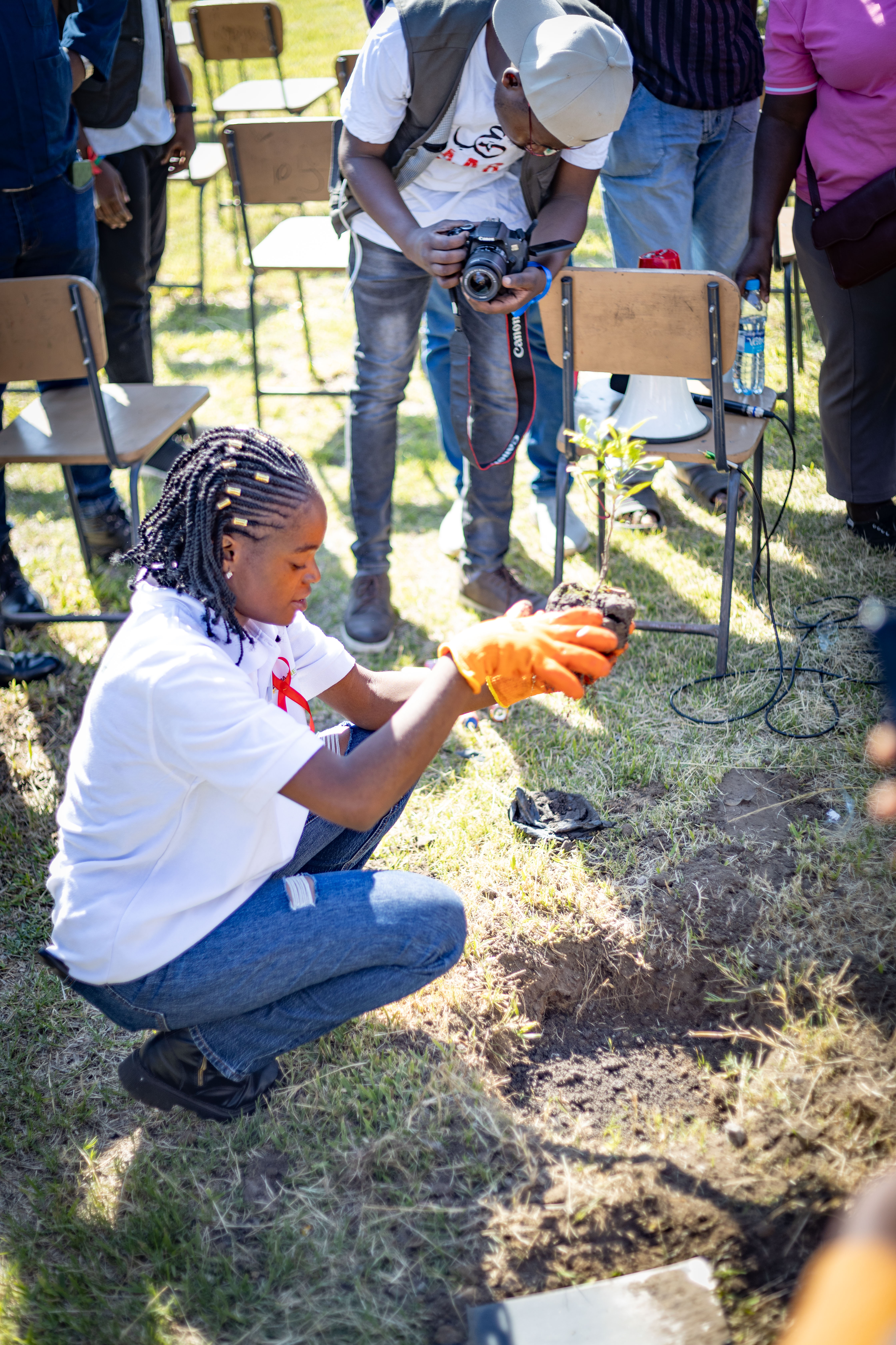Tree planting demonstration