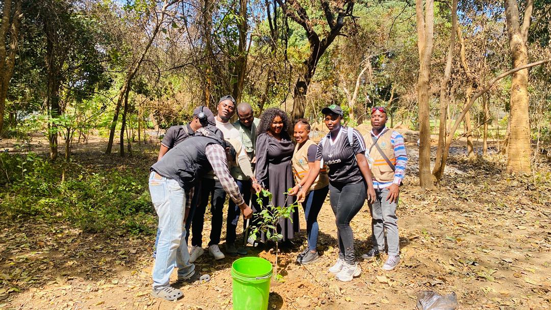 Tree planting group