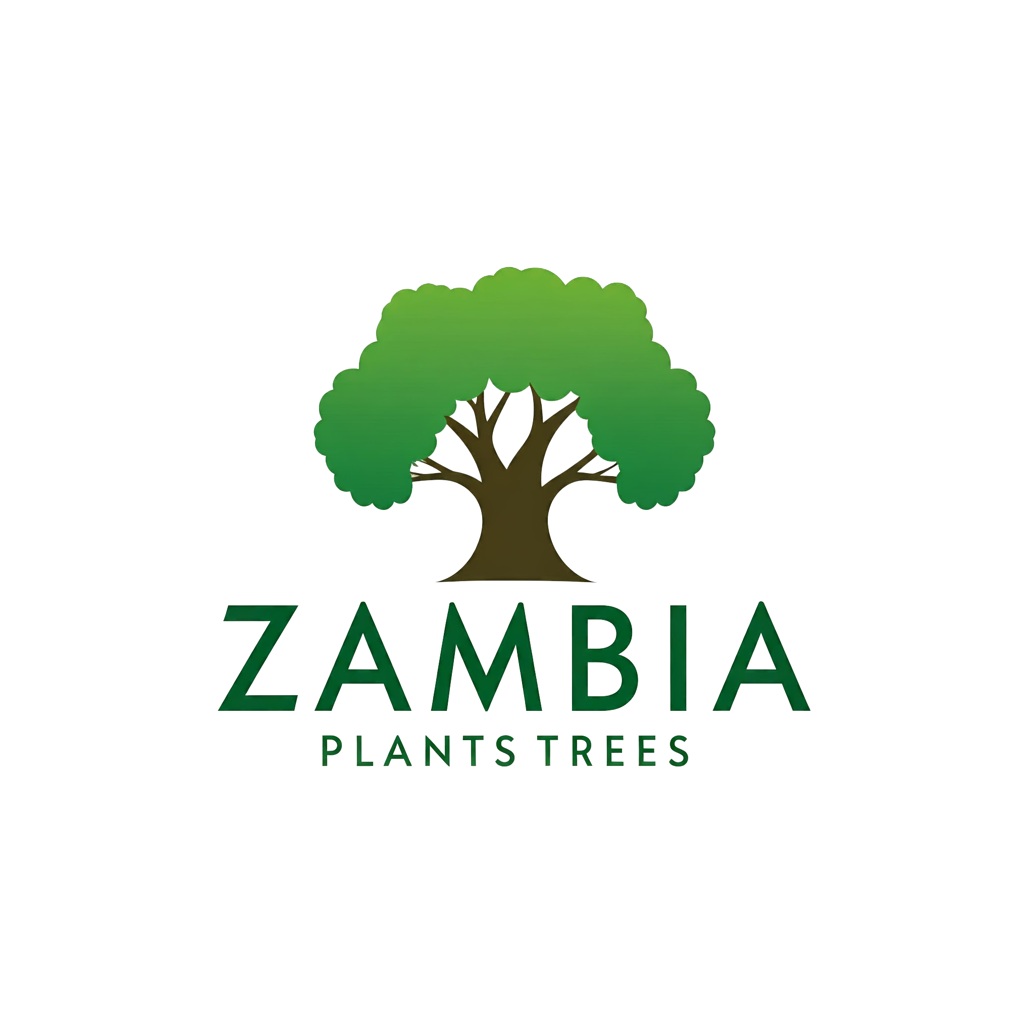 Zambia Plants Trees